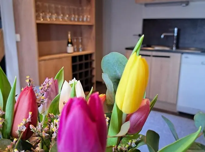 La D'achille - Holiday home La Roche-en-Ardenne